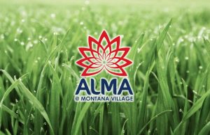 Alma At Monatana Village – Paramount Land