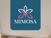 New Cluster Mimosa at Paramount Petals
